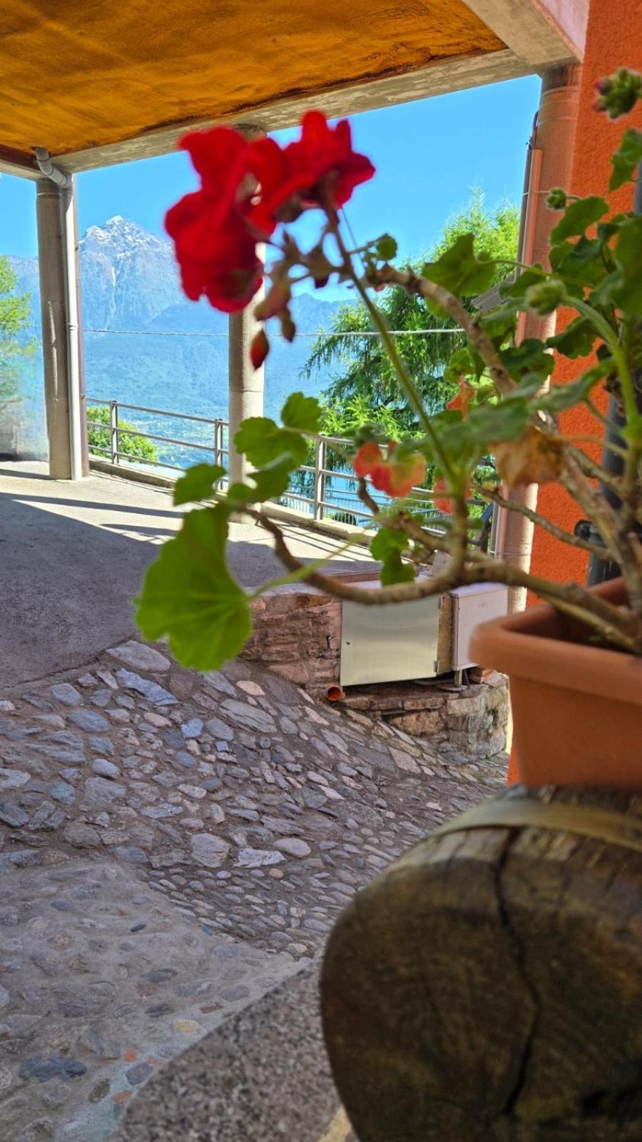 Agriturismo Runchee Веркана Экстерьер фото